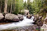 Trail to Alberta Falls Aug 2022